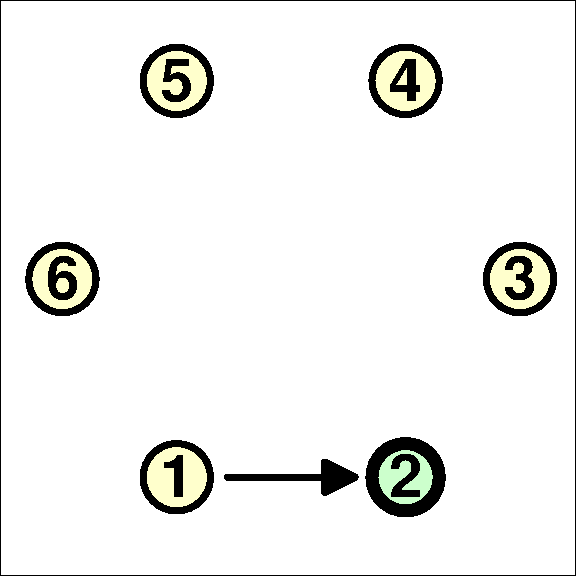 polygon step 3